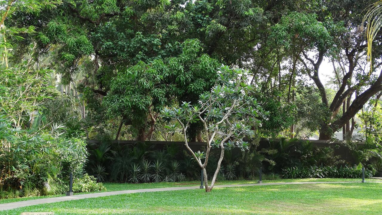 Andores Resort And Spa - Calangute Exterior photo